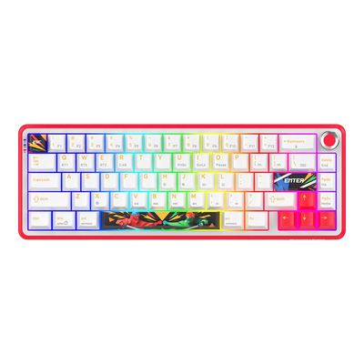 Cosmic Byte Arcturus 65 Tri-Mode Gasket Hot Swappable Mechanical Switch Keyboard (White red)