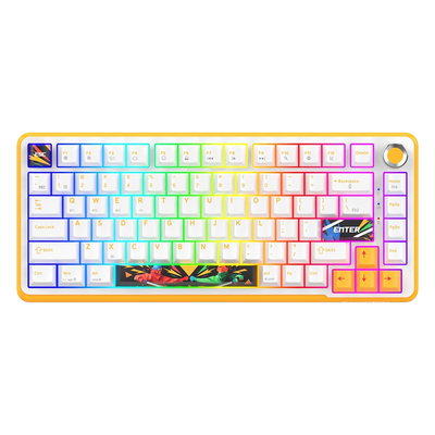 Cosmic Byte Arcturus 75 Tri-Mode Gasket Hot Swappable Mechanical Switch Keyboard (White Amber)