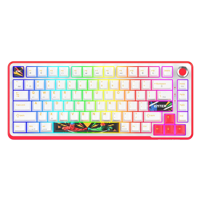 Cosmic Byte Arcturus 75 Tri-Mode Gasket Hot Swappable Mechanical Switch Keyboard (White Red)