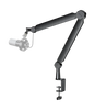 FIFINE BM66 Heavy-Duty Microphone Arm Stand with Hidden Cable Management View 1